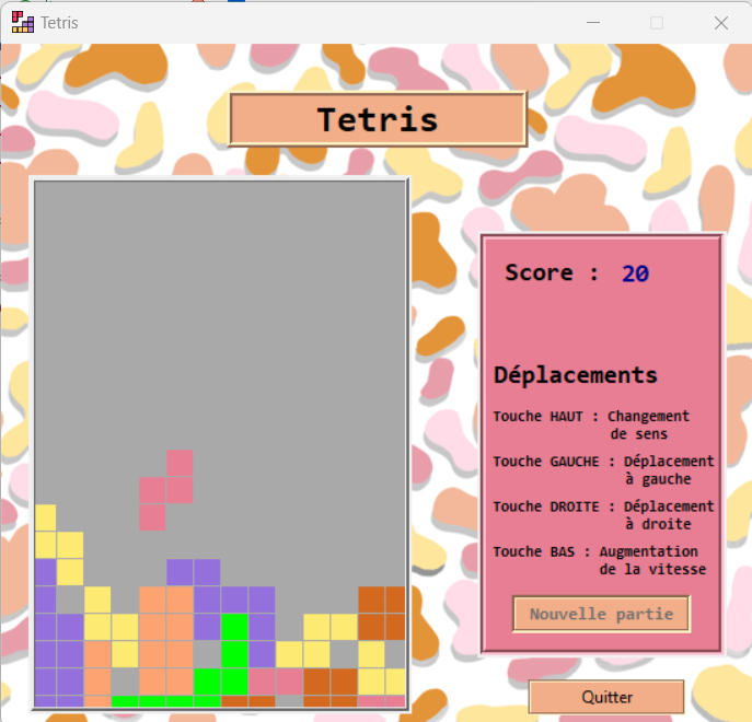 Fenetre lorsqu'on lance une partie